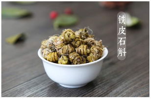 鐵皮楓斗的研究