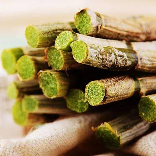 胃病難治,不代表治不好...好多人卻被這種草給治好了