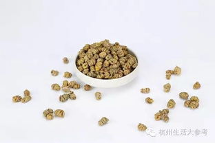 今日福利 鮮吃干吃都好的高品質(zhì)鐵皮石斛,來自云南天然的味道