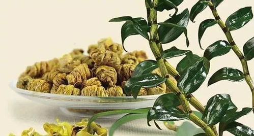 進補這事兒可不能盲目從眾,