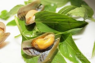 鐵皮楓斗怎么吃 鐵皮楓斗的多種吃法