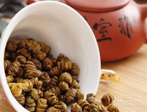 鐵皮楓斗的功效與作用 價格 怎么吃 不適合人群 土巴兔家居百科