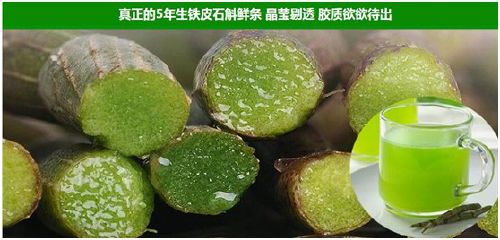 霍山鐵皮石斛一克多少,霍山綠斗石斛米斛楓斗價格