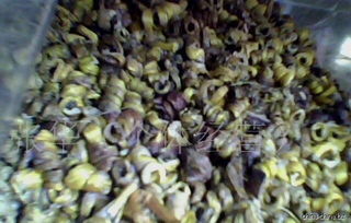 批發供應鐵皮楓斗