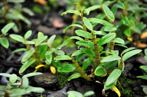 森山捐贈近百萬元鐵皮楓斗產品，助力一線醫護人員抗擊疫情