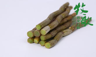 鐵皮石斛與鐵皮楓斗 能否像甘蔗一樣直接食用？