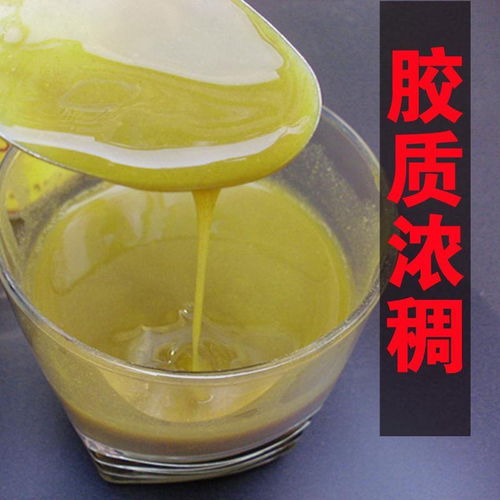 雁蕩山鐵皮石斛與鐵皮楓斗粉 養胃佳品的全面解析