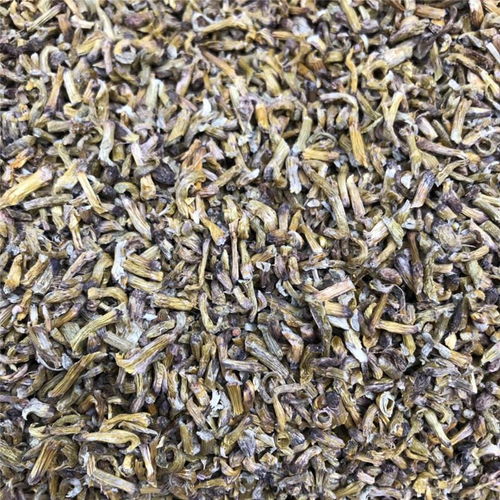 鐵皮石斛楓斗 從珍貴藥材到養生新寵的全方位解讀