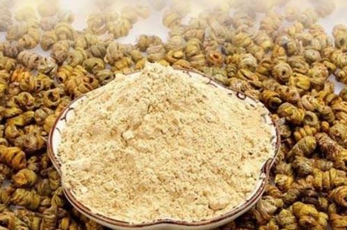 鐵皮石斛（楓斗） 功效、禁忌與食用方法全解析